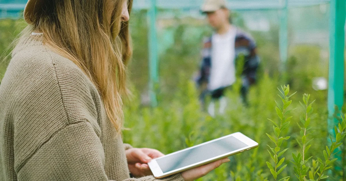 Agricultural field with IoT sensors and Andean mountains