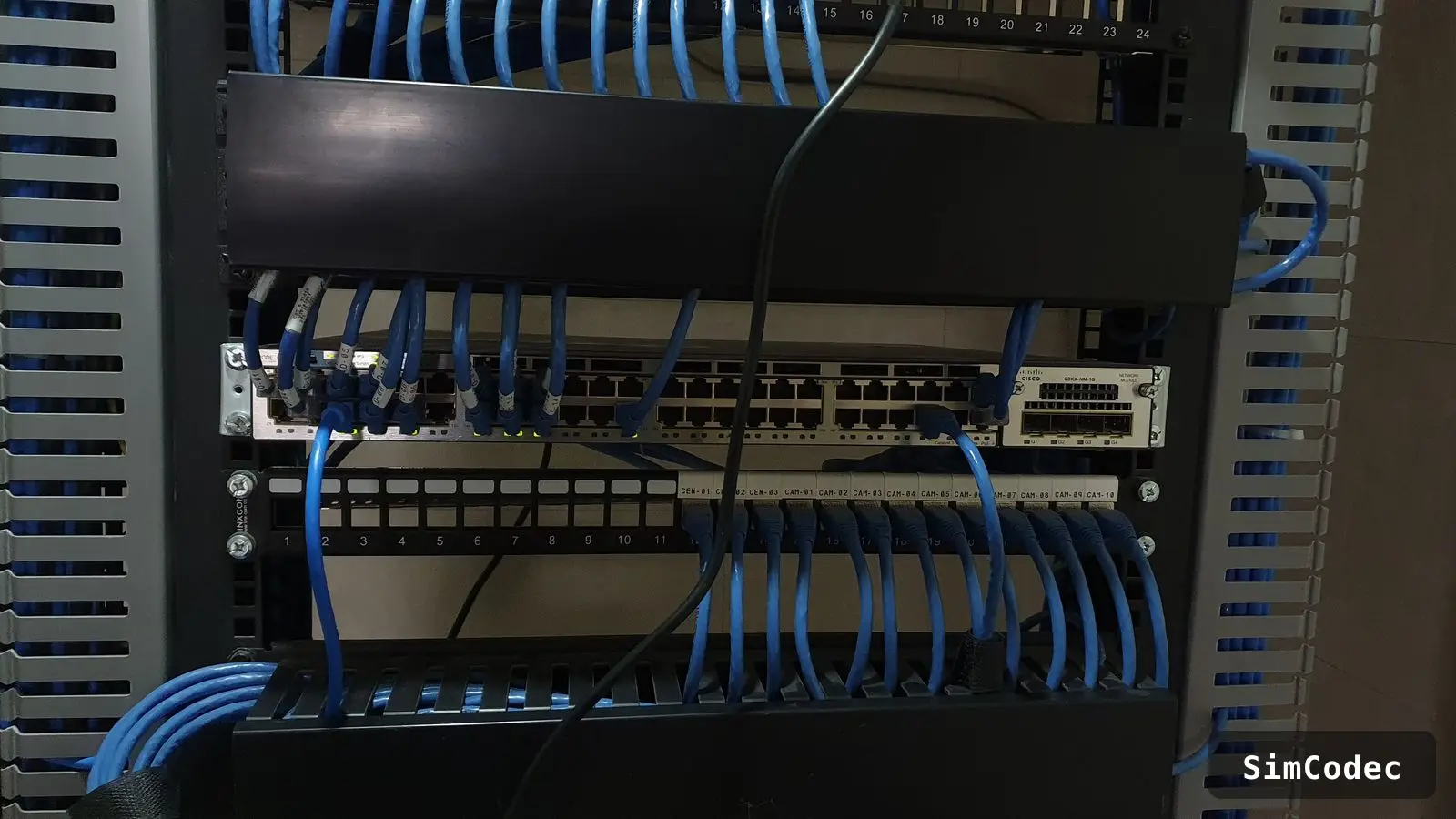 Patch panel and organized cabling