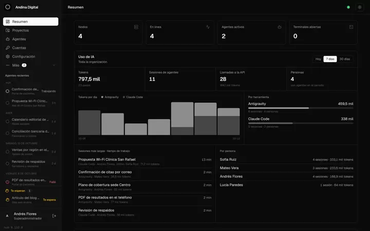 Overview: servers, active agents and company AI usage